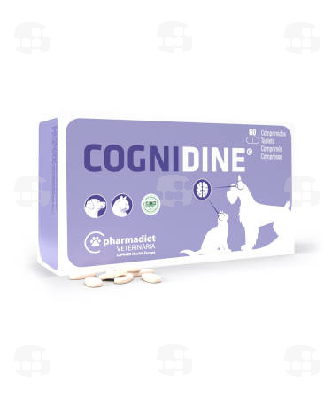 COGNIDINE COMPRIMIDOS