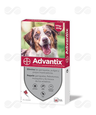 ADVANTIX 4 PIPETAS - Imagen 3