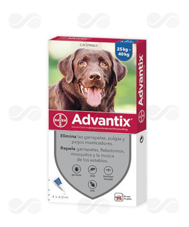 ADVANTIX 4 PIPETAS - Imagen 4