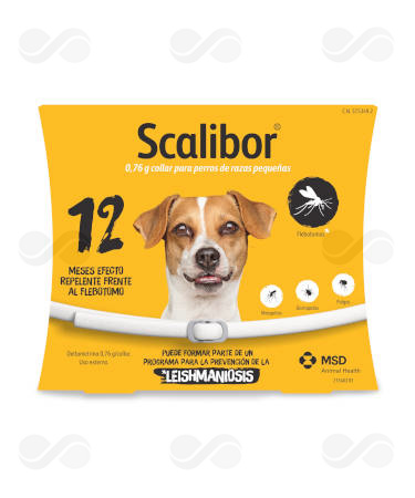 SCALIBOR COLLAR PERROS