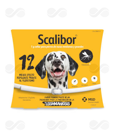 SCALIBOR COLLAR PERROS - Imagen 2